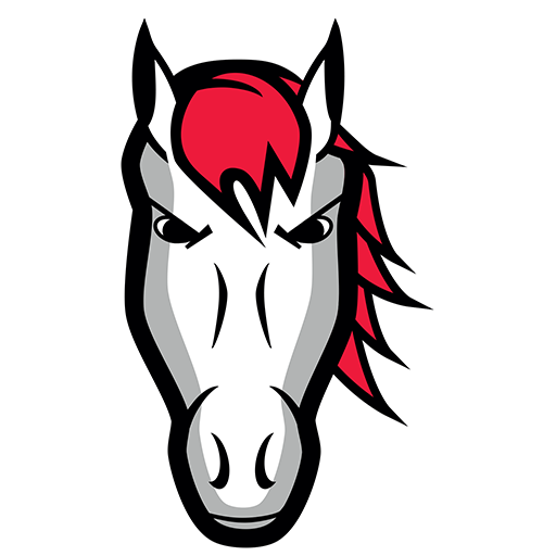 Leicester Riders badge