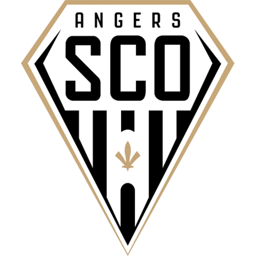 Angers badge