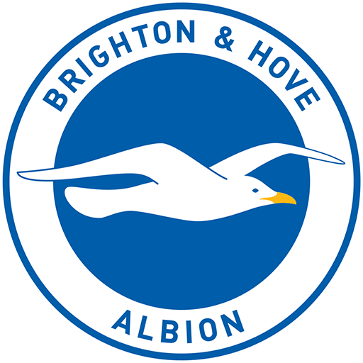 Brighton and Hove Albion badge