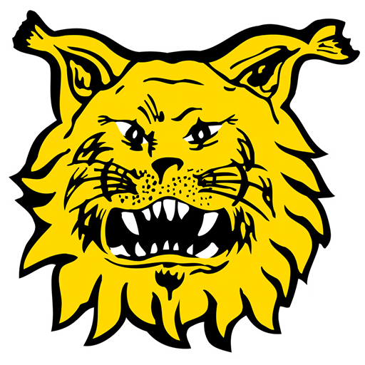 Ilves badge