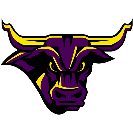 Minnesota State badge