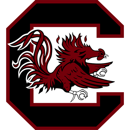 South Carolina badge